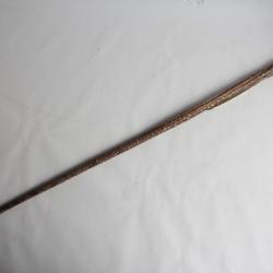 Ancienne Canne Queue de raie Curiosa