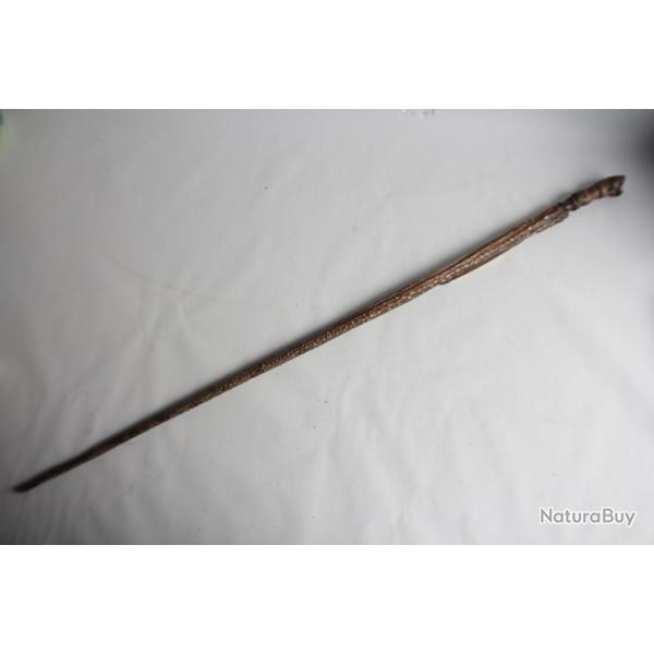 Ancienne Canne Queue de raie Curiosa