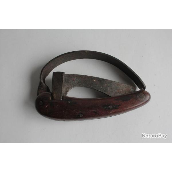 Ancienne Rainette de forestier