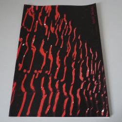 Magazine de Gravures Xylon 107, Max Bottini