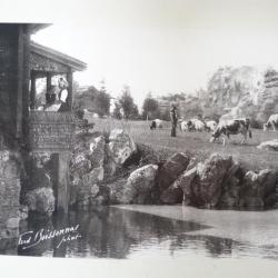 Photo Fred BOISSONNAS 1896 Montagne Agriculture VII Suisse