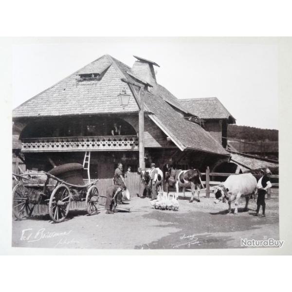 Photo Fred BOISSONNAS 1896 Village Suisse Agriculture XI