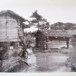 Photo Fred BOISSONNAS 1896 Lavandière XIV Suisse