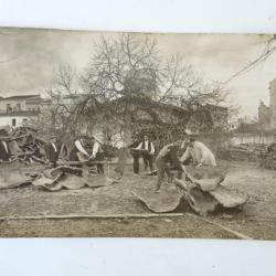 CPA Photo Écorçage du Liège Démasclage Fabricant Vieux Métier