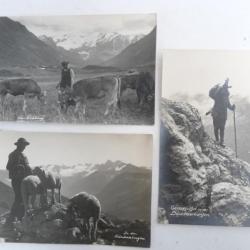3 CP photo Suisse Berger montagne Bergen Carte Postale