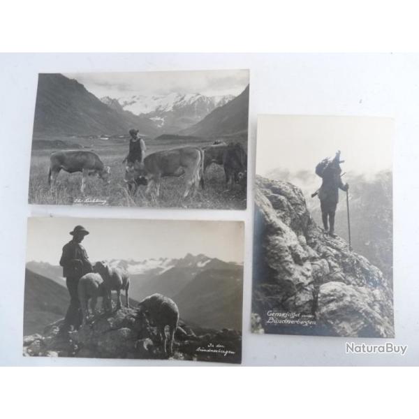 3 CP photo Suisse Berger montagne Bergen Carte Postale