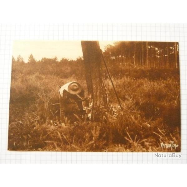 CPA RAMUNTCHO Au pays Landais M�tier B�cheron Carte Postale