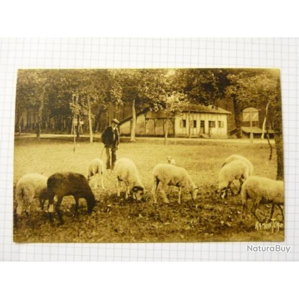 CPA RAMUNTCHO Paysage Landais �levage Moutons Berger Carte Postale
