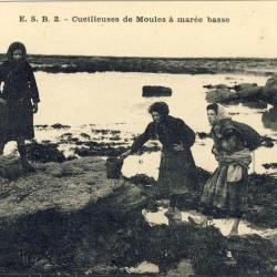 CPA Cueilleuses de Moules à marée basse Bretagne