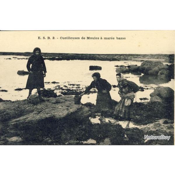 CPA Cueilleuses de Moules � mar�e basse Bretagne
