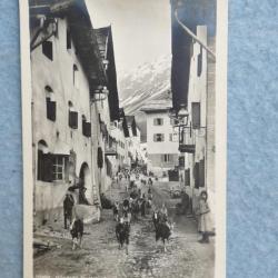 CP Suisse Grisons Bünder Dorfstrabe Dorfstrasse Chèvre Carte Postale