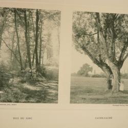 Photo Fred BOISSONNAS Suisse Bois du Jonc Campagne Suisse