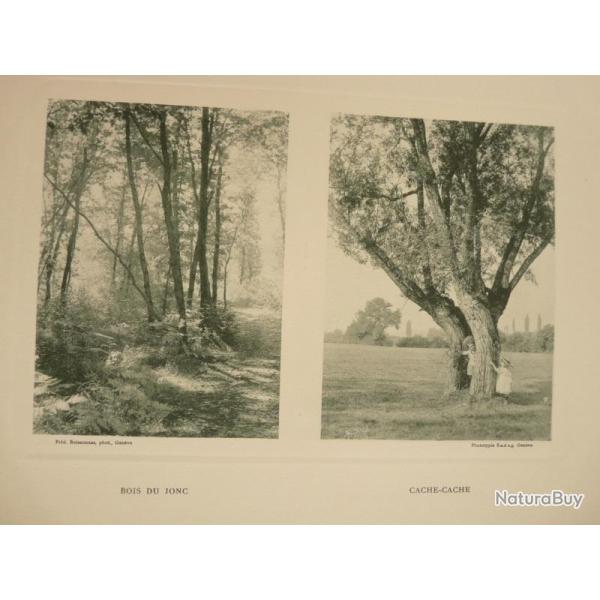 Photo Fred BOISSONNAS Suisse Bois du Jonc Campagne Suisse