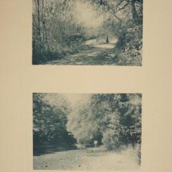 Photo Fred BOISSONNAS Suisse Bords de la Versoix Suisse