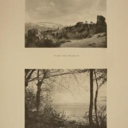 Photo Fred BOISSONNAS Suisse Bois d'Allaman Vaud Suisse