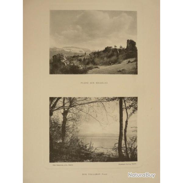 Photo Fred BOISSONNAS Suisse Bois d'Allaman Vaud Suisse