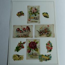 Images chromos gaufrés découpés cartes de voeux oiseaux 1890