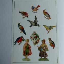 Images chromos gaufrés découpés oiseaux pigeon voyageur 1890