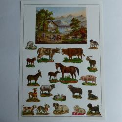Images chromos gaufrés découpés animaux ferme chevaux 1890