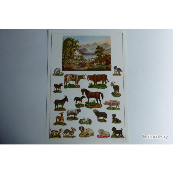 Images chromos gaufr�s d�coup�s animaux ferme chevaux 1890