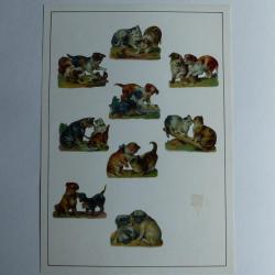 Images chromos gaufrés découpés chiens chats 1890