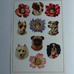 Images chromos gaufrés découpés têtes chiens race fleurs 1890