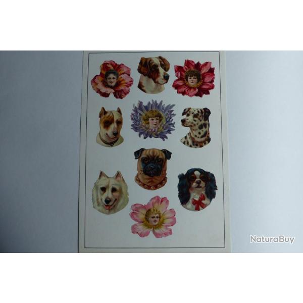 Images chromos gaufr�s d�coup�s t�tes chiens race fleurs 1890