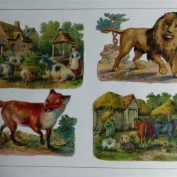 Images chromos gaufrés découpés animaux de ferme renard lion 1890