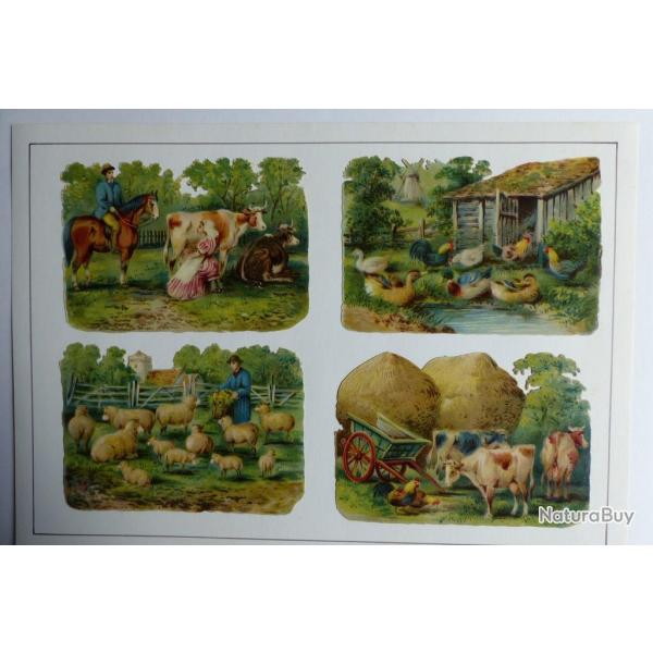 Images chromos gaufr�s d�coup�s animaux de ferme 1890