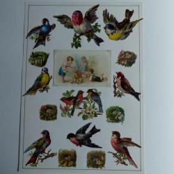 Images chromos gaufrés découpés nids oiseaux 1890