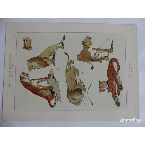 Estampe Etudes d'animaux ROLPH Flins Art nouveau