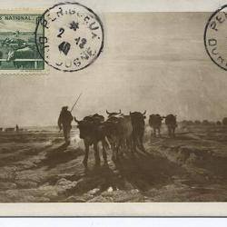 Carte-maximum France n° 469 - Paturage secours national