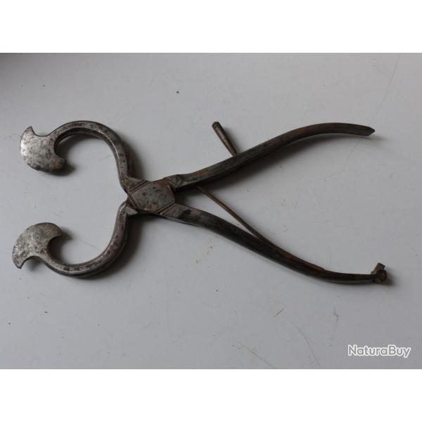 Paire de pinces � sucre en acier XIXe cuisine