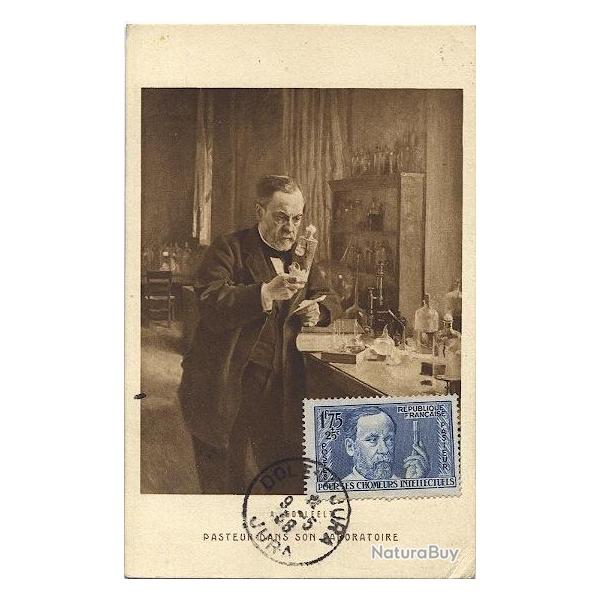 Carte-maximum France n� 385 - Pasteur dans son laboratoire