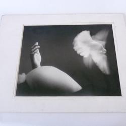 Photo d'Art  Amateur De Pithiviers  Dominique Tuilard 2000