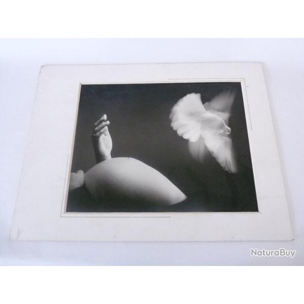 Photo d'Art  Amateur De Pithiviers  Dominique Tuilard 2000