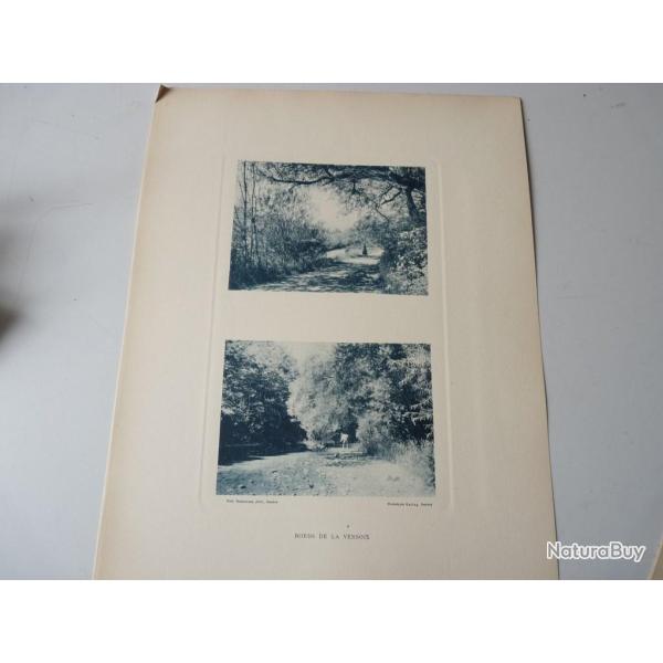 Photos Fred BOISSONNAS Bords De La Versoix