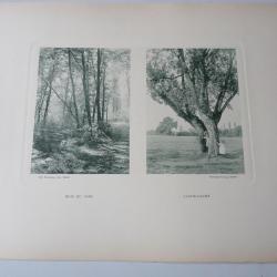 Photos Fred BOISSONNAS Bois Du Jonc - Cache-Cache