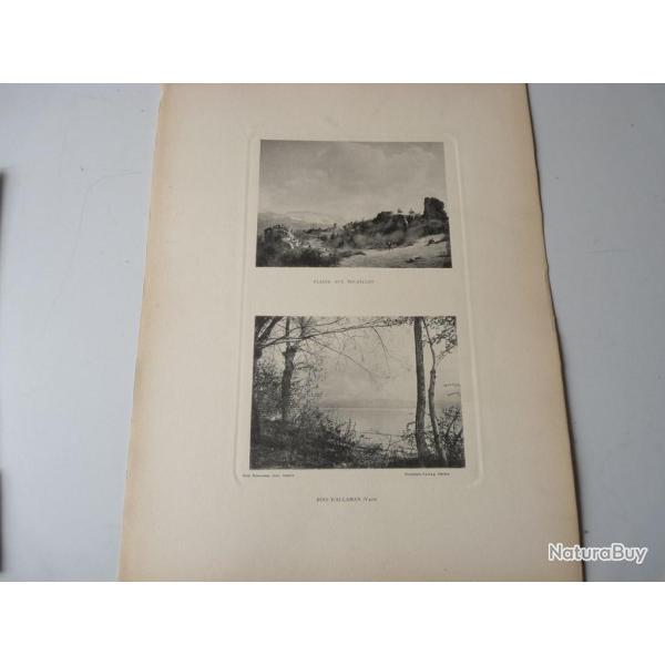 Photos Fred BOISSONNAS Plaine Aux Rocailles - Bois D'Allaman ( Vaud )