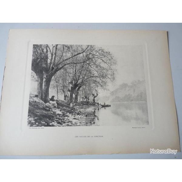 Photo Fred BOISSONNAS Les Saules De La Jonction Suisse