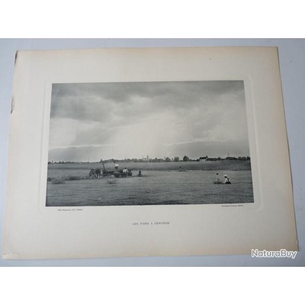 Photo Fred BOISSONNAS Les Foins A Genthod Suisse