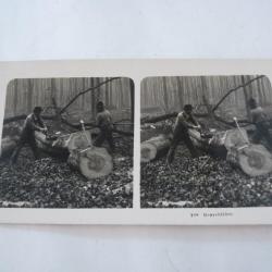 Photos stéréo Bucherons