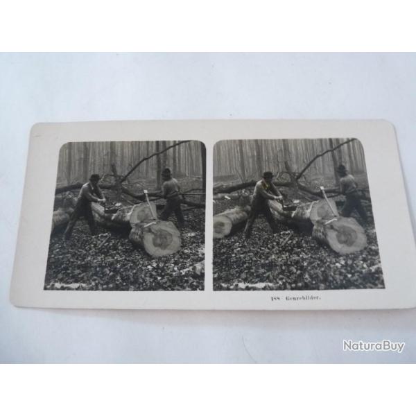 Photos st�r�o Bucherons