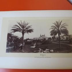 Photo Monaco - Le Casino pris entre les Palmiers