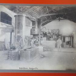 Photo Société Française d'Exploitations Forestières Oran Algérie 1913