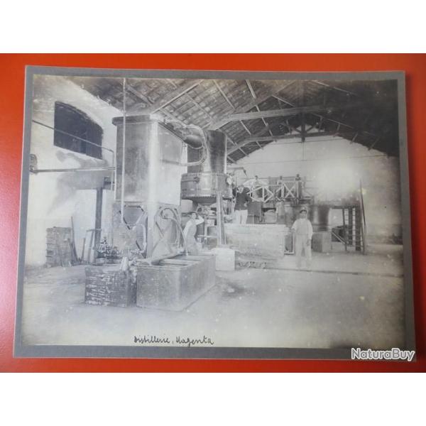 Photo Soci�t� Fran�aise d'Exploitations Foresti�res Oran Alg�rie 1913