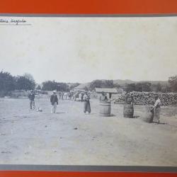 Photo Société Française d'Exploitations Forestières Oran Algérie 1913