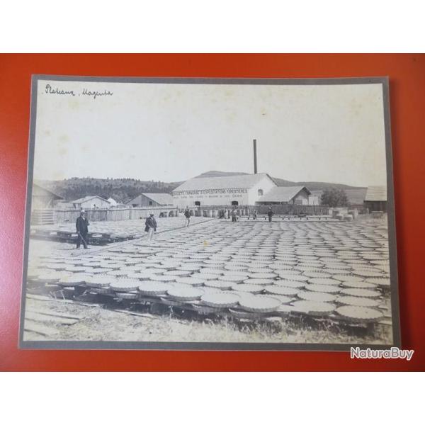 Photo Soci�t� Fran�aise d'Exploitations Foresti�res Oran Alg�rie 1913