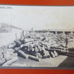 Photo Société Française d'Exploitations Forestières Oran Algérie 1913