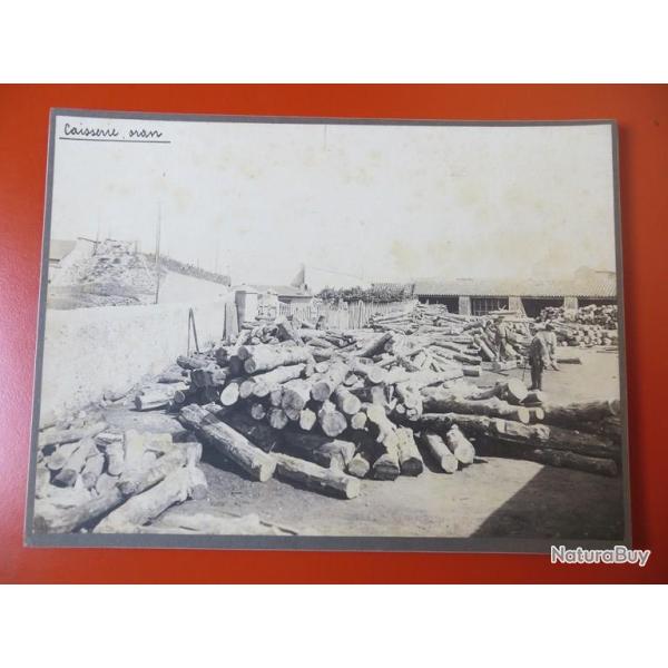 Photo Soci�t� Fran�aise d'Exploitations Foresti�res Oran Alg�rie 1913